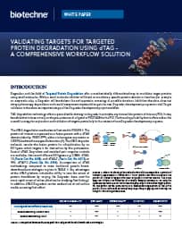 Validating Targets for Targeted Protein Degradation using dTAG - A Comprehensive Workflow Solution